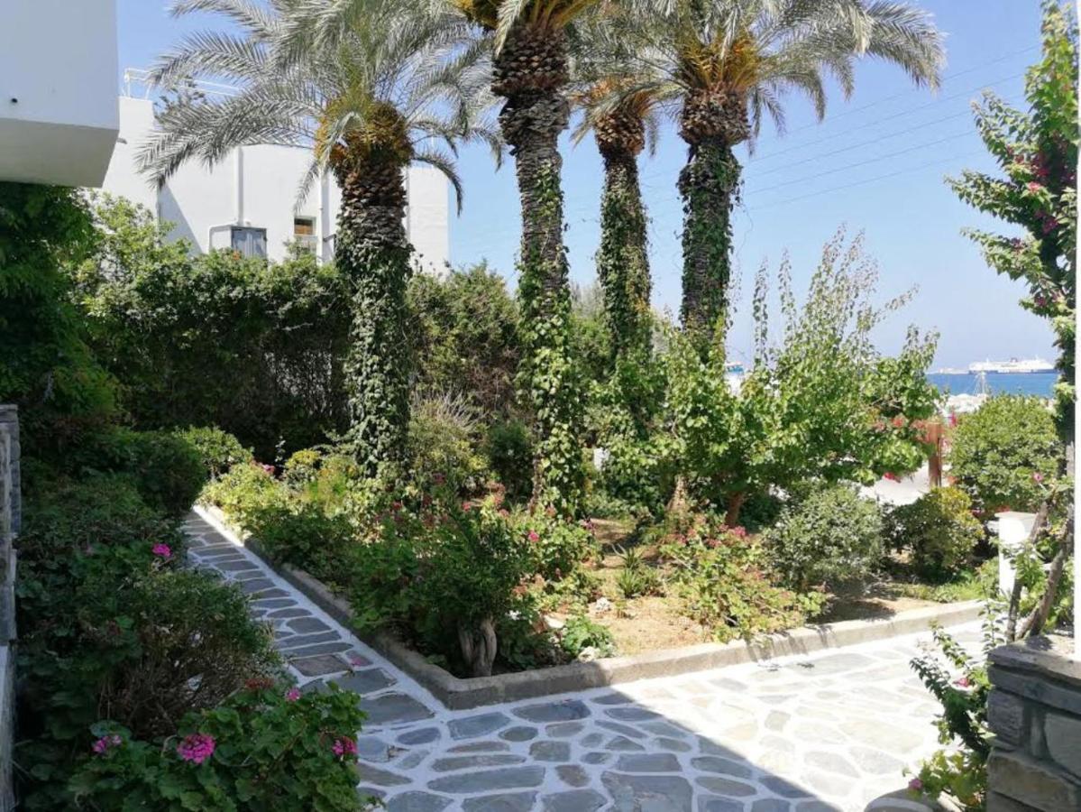 Asterias - Seafront Hotel Páros